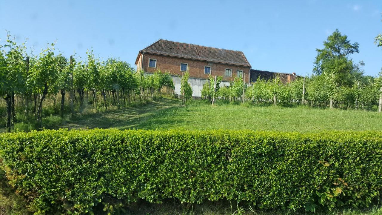 Na Off Villa Radenci Exteriör bild